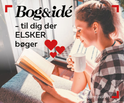 Dagens Julegaveide - Børnebøger